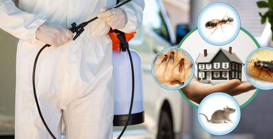 Ağlasun Böcek İlaçlama