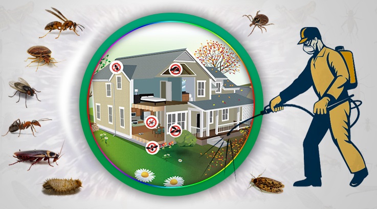 Ağlasun Böcek İlaçlama