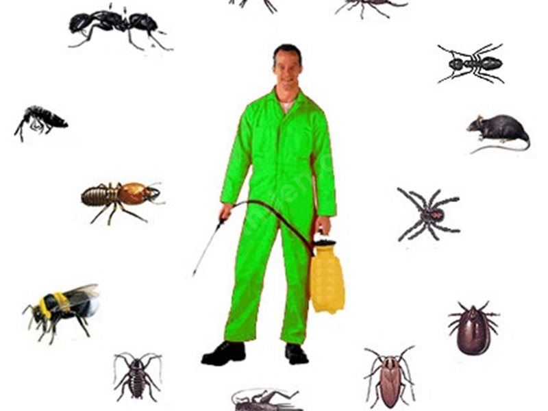 Ağlasun Böcek İlaçlama